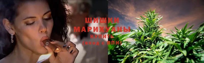 Бошки марихуана OG Kush  Выборг 